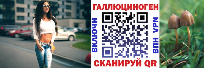 omg ссылка Карачев Галлюциногенные грибы Cubensis